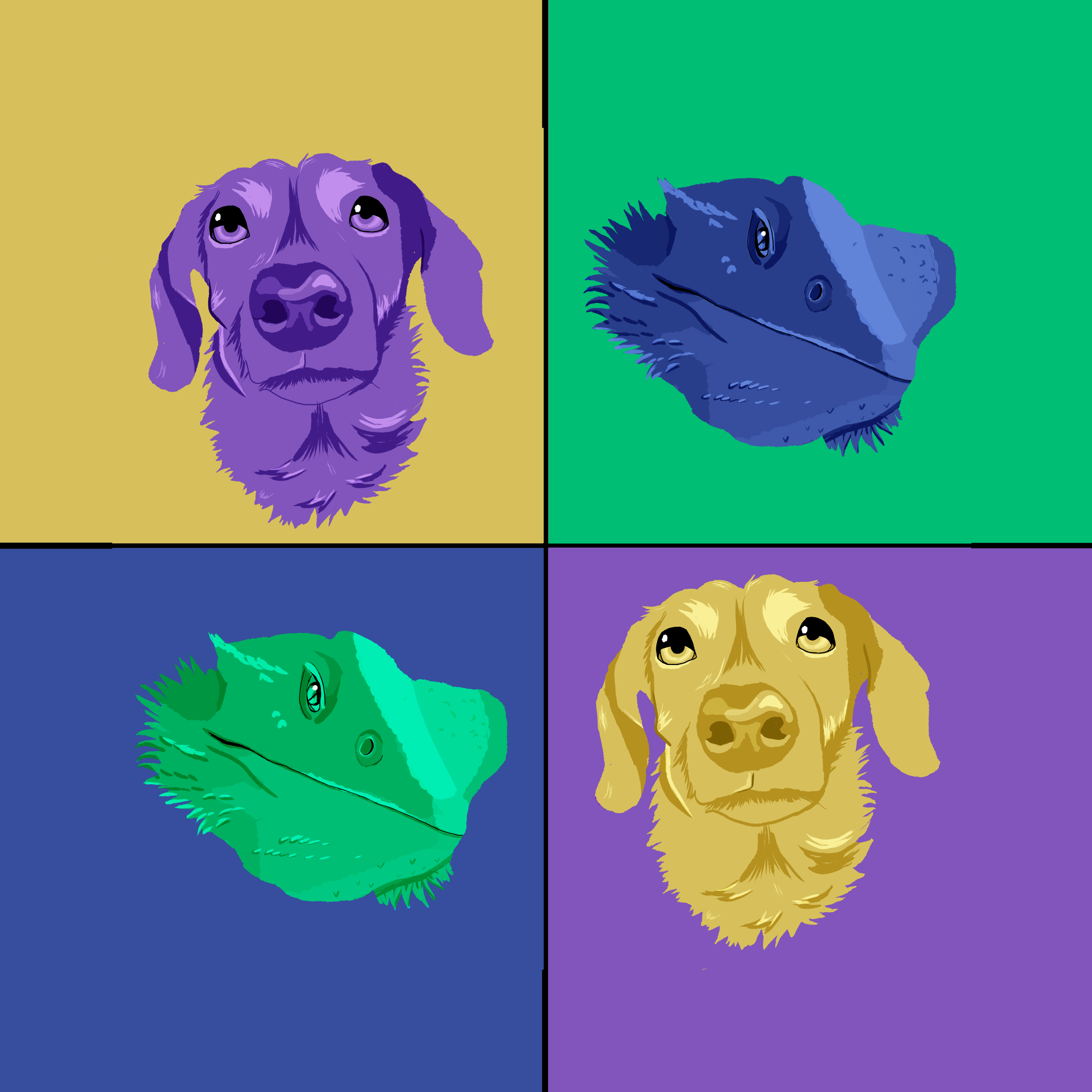 A digital pop art inspired pet portrait