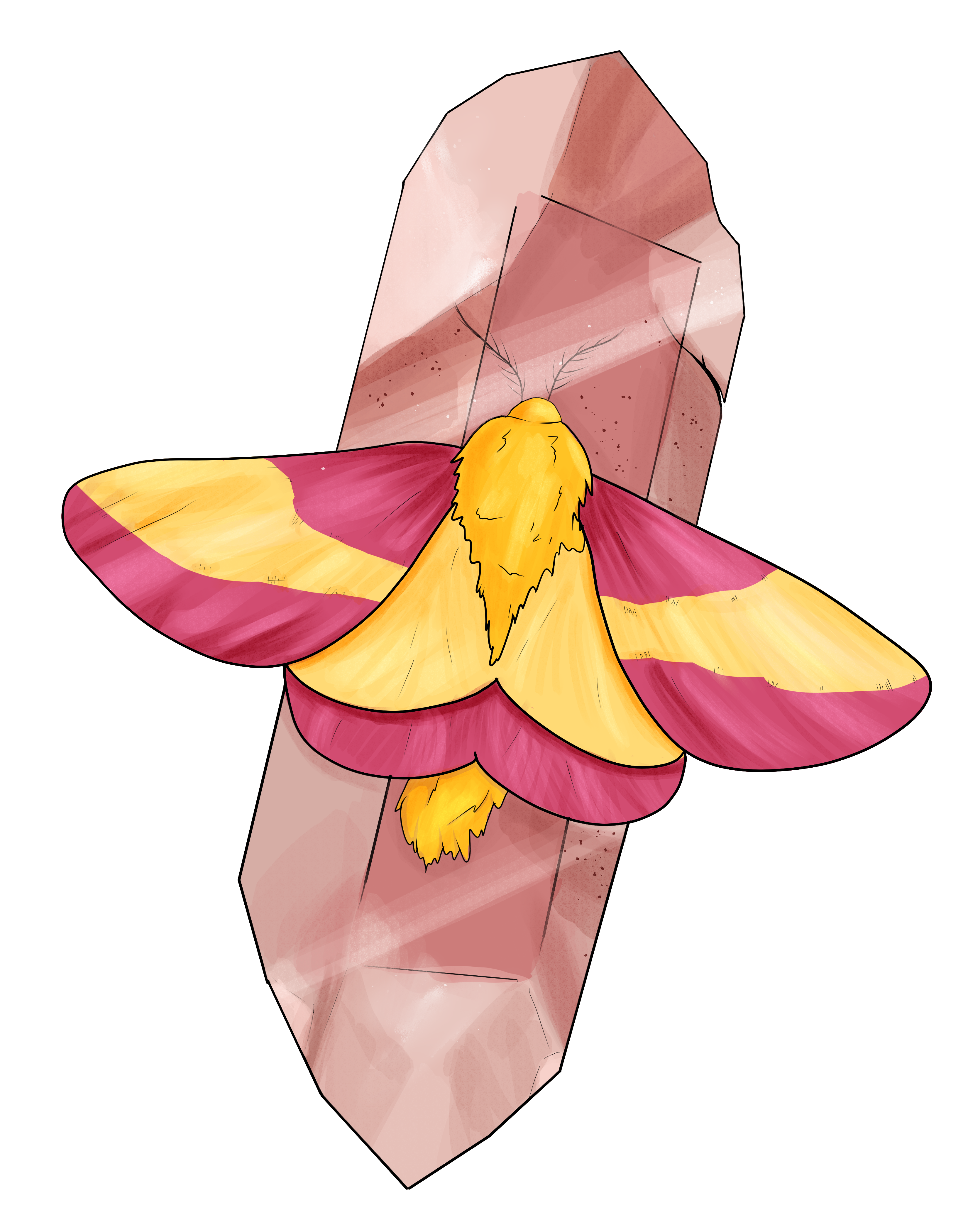 A sticker design of a rosy maple moth on a rise quartz crystal.